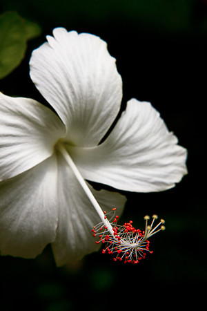 Visit Mod Fam at https://modfam.global/ to view posts and content related to our photographic work in the United States and around the world.  This photo is part of our larger stock photography collec