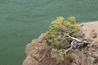 Visit Mod Fam at https://modfam.global/ to view posts and content related to our photographic work in the United States and around the world.  This photo is part of our larger stock photography collec