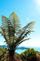 Visit Mod Fam at https://modfam.global/ to view posts and content related to our photographic work in the United States and around the world.  This photo is part of our larger stock photography collec