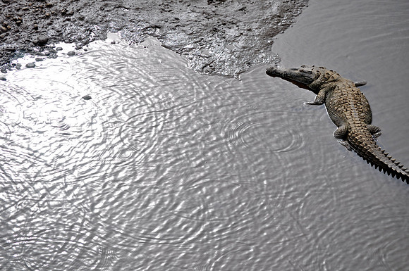Visit Mod Fam at https://modfam.global/ to view posts and content related to our photographic work in the United States and around the world.  This photo is part of our larger stock photography collec
