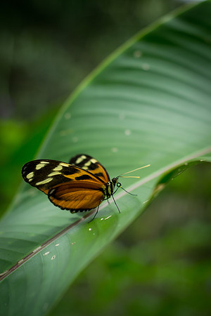Visit Mod Fam at https://modfam.global/ to view posts and content related to our photographic work in the United States and around the world.  This photo is part of our larger stock photography collec
